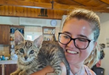 She Rescued A Flea-Covered Kitten From A Bush And Gets Lifelong Shoulder Companion!