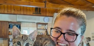 She Rescued A Flea-Covered Kitten From A Bush And Gets Lifelong Shoulder Companion!